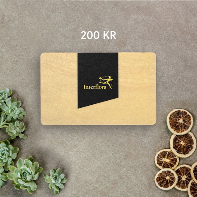 present-kort-jul-2022-200kr