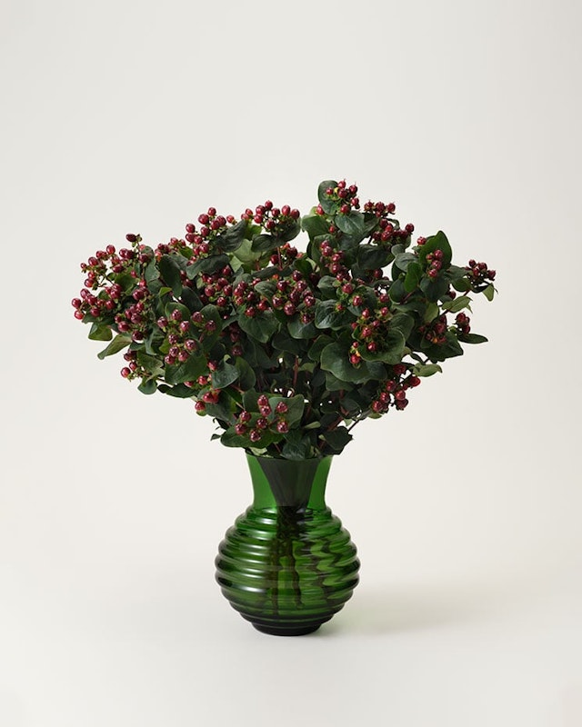 hypericum-snitt-styckvis